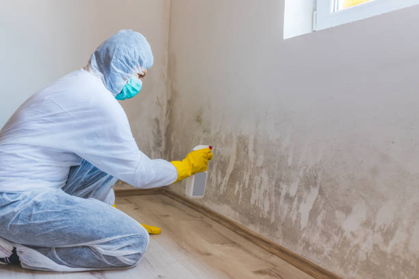 Mold inspector in Annandale performing thermal imaging