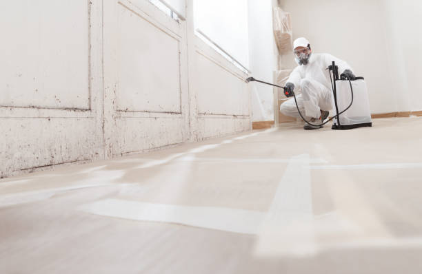 Post-remediation clearance in Annandale
